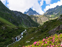 Nur schon das Leutschachtal ist eine Reise wert: Die Blumenpracht ist überwältigend und die vielen verschiedenen Schmetterlinge eine Augenweide. "Leider" habe ich mir zum Ziel gesetzt, die 12.55 Uhr-Bahn zu erwischen, so dass ich nicht allzu viel Zeit zum Fotografieren habe. So setzt man sich selber unter Druck... : Jakobiger Leutschachhütte Arnisee