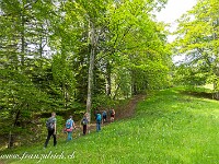 Von Waldenburg geht es über die Richtiflue, Studenweid, Waldweid ... : Jurawanderung OGH