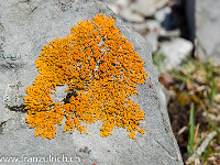 Farbtupfer : Haggenspitz Kleiner Mythen