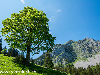 Fazit des Weitwinkel-Experiments: Verlorener Objektivdeckel und Gegenlichtblende - aber für diese Tour war das Objektiv ideal. Einzig auf dem Klein Mythen (Bild) hätte ich ein Makro oder Tele bevorzugt, da ein wunderschöner Schwalbenschwanz uns umschwirrte, den ich gerne "auf Film" gebannt hätte : Haggenspitz Kleiner Mythen