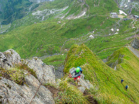 Entlang des Grates führt der Steig nach Nordwesten via Rot Nollen und Schafberg... : Klettersteig Graustock Engelberg