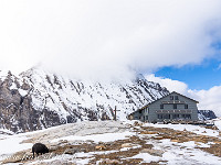 Bald sagen wir dem Pass, den beiden Hausschweinen und der gemütlichen Hütte ade... : Lötschenpass