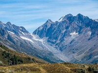 Lötschenlücke (3145 m) mit Übergang zum Grossen Aletschgletscher. : Lötschenpass