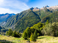 Der Lago di Mognòla (2004 m) liegt auf der letzten Etappe des Sentiero Alpino della Valle Maggia - bzw. seit im 2017 die Capanna Soveltra abgebrannt ist, ist der wunderbare Bergsee wohl nicht mehr Teil des Sentieros. So oder so: Dieses wunderbare Kleinod ist auf jeden Fall einen Besuch wert. Besonders schön im Herbst, wenn die Lärchen goldgelb gefärbt sind. Wir starten in Fusio, zuhinterst im Val Lavizzara. : Tessin