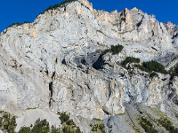 Farbtupfer vor dem Jegertosse : Kandersteg Gasterntal Lötschenpass Hockenhorn Leukerbad