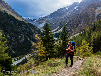 Aufstieg zur Gfelalp : Kandersteg Gasterntal Lötschenpass Hockenhorn Leukerbad