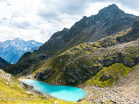 Nidersee. : Mäntliser