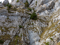 Das Mondmilchloch ist in der aktuellen Landkarte 1:25000 sogar eingetragen. : Mondmilchloch, Pilatus