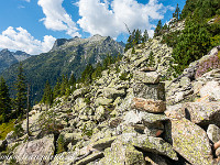 Zuerst folgen wir dem teilweise undeutlichen Wanderweg nach Seewlibiel (ca. 1580 m), wo es leider wieder 100 Höhenmeter runter zur Jagdhütte Seewli geht. Von dort startet das Abenteuer erst richtig: Einem unscheinbaren Pfad folgend geht es steil den Hang hinauf zum P. 1658. Über ein Geröllfeld mit wenigen roten Punkten als Markierung gewinnen wir Höhe und erreichen die grasige Rinne, die gegen oben recht steil wird, aber dennoch nicht sehr ausgesetzt ist. : Mutschen