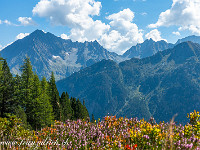 Der Pfad verliert sich nun, und es sind auch keine Markierungen mehr vorhanden. Blick zum mächtigen Bristen (links, 3073 m), Pörtlilücke (2505 m, knapp rechts der Bildmitte) und dem Sunnig Wichel mit den zwei Zacken (2910 m). : Mutschen