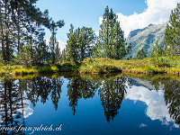 Wir "kämpfen" uns durch Stauden, vorbei an einem kleinen Moorsee mit fast schwarzem Wasser (auf der Karte "Ober Seewli", 1864 m). Weil es windstill ist, zeigt sich ein perfektes Spiegelbild der Föhren und Berge. : Mutschen