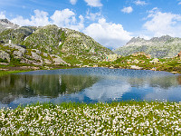 Vom Grimselpass (2164 m) zieht das Nägelisgrätli nach Nordosten bis auf eine Höhe von 2660 m. Der Wanderweg führt an verschiedenen Seelein vorbei, die zum verweilen - und baden - einladen. Die Aussicht auf Grimsel, Furka und den Rhonegletscher ist einmalig. : Grimsel-Gletsch-Furka