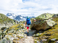 Der Wanderweg ist weiss-rot-weiss markiert und führt zum Aussichtspunkt "Rhonegletscher". : Grimsel-Gletsch-Furka