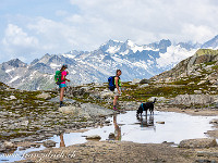 Trinkpause. : Grimsel-Gletsch-Furka