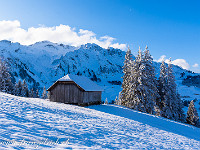 Ein herrlicher Wintertag in Sörenberg. Im Hintergrund das Brienzer Rothorn (2348 m), der höchste Luzerner Berggipfel. : Nünalpstock, Schneeschuhtour