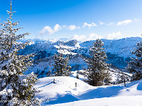 Es ist einfach schön, hier oben. : Nünalpstock, Schneeschuhtour