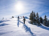 Das macht Spass! : Nünalpstock, OGH, Schneeschuhtour