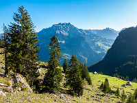 Ein wolkenloser Himmel begleitet uns während des ganzen Tages. : Nidwaldner Höhenweg