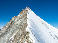 Langsam und vorsichtig steigen wir weiter über den Firngrat ab, und über den Grand Gendarme wieder hoch zur Wellenkuppe (3900 m). Im Bild der Ostgrat des Ober Gabelhorns (4063 m). : Obergabelhorn, Zinalrothorn