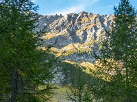 Der Lago di Ravina (1889 m) versteckt sich hinter den Bäumen. : Passo Sassello, Passo dei Sassi