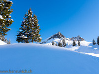 Der Start ist beim Parkplatz Weglosen, und durch gar nicht so wegloses Gelände erreichen wir nach 1.5 Stunden Aufstieg kurz vor der Sattlerhütte (1580 m) die Sonne. : Biet, OGH, Piet, Schneeschuhtour