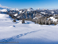 Auch Tiere ziehen ihre Spuren in die frisch verschneite Landschaft. : Biet, OGH, Piet, Schneeschuhtour