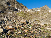 Für mich ist es immer wieder ein Wunder, wie sich die Vegetation auch unter widrigsten Bedingungen ausbreiten kann. : Etzlihütte Praktikum Hüttenwartskurs