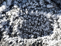 Die letzten Meter zum Gipfel führen über einen vereisten Blockgrat. : Etzlihütte Praktikum Hüttenwartskurs