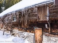 Bei der Alp Ober Honegg.