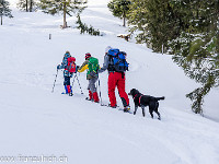 Im Gänsemarsch geht es bergauf. Es ist Ende Dezember, kurz nach einem zünftigen Schneefall: Beste Verhältnisse für eine Schneeschuhtour.