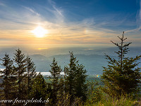 Beim Bänkli auf Tristenboden haben wir einen herrlichen Blick aufs Mittelland. : Rigi