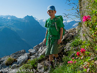 Und natürlich Alpenrosen : Klettersteig Rigidalstock Engelberg 2015 mit Simon