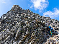 Etwas nördlich des Gipfels führt ein breites Couloir auf den Nordostgrat. : Rohrspitzli, Salbithütte