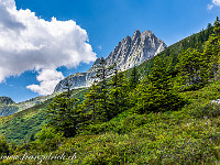 Ein letzter Blick zurück zum Salbitschijen (2985 m). : Rohrspitzli, Salbithütte