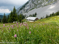 Beim Sattel zwischen Ruessiflue und Matthorn geht es steil links hinunter zur Alp Laub. : Pilatus, Ruessiflue