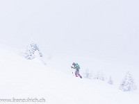 Mystischer Aufstieg im Nebel. : Aufstieg, Haglere, Schnee, Schneeschuhtour, Tanne, Winter, verschneit