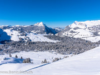 Hohgant und Schibengütsch. : Berg, Hohgant, Schibengütsch, Schnee, Tannen, Wald, Winter, verschneit