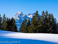 Ein milder Samstag anfangs März. Vom Parkplatz Steinböden sind wir bereits zur Fronalp hochgestiegen. Stolz präsentiert sich der Glärnisch mit dem Vrenelisgärtli (2905 m). : Schneeschuhtour Schilt