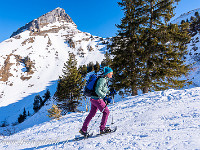 Via Mittler Stafel ziehen wir am Fronalpstock vorbei. : Schneeschuhtour Schilt