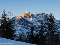 ... für viele besser bekannt ist der Hauptgipfel, das Vrenelisgärtli. Mit 2905 m nicht ganz die höchste Erhebung des Glärnisch-Massivs (der Bächistock ist noch 10 m höher). : OGH, Schilt, Schneeschuhtour, Winter