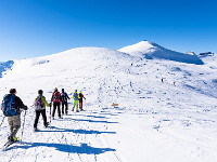 Hinten rechts der Schilt (2298 m), unser Tagesziel. : OGH, Schilt, Schneeschuhtour, Winter