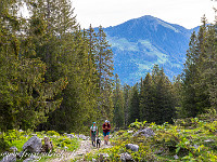 Heute besuchen wir die Schrattenfluh in der UNESCO-Biosphäre Entlebuch. Start unserer Rundwanderung auf den Schibegütsch und den Hengst  ist die Alp Schlund auf 1466 m. : Entlebuch, Schrattenfluh