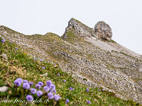 Das Türstehäuptli (2031 m) ist ein vorwitziger Felsknubel und erinnert uns ein bisschen an den Old Man of Storr in Schottland. : Entlebuch, Schrattenfluh