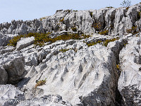 Bizarre Felsformationen,... : Entlebuch, Schrattenfluh