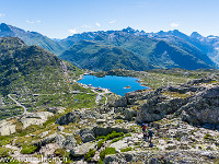 Die 2-stündige Wanderung auf das Sidelhorn beginnt auf dem Grimselpass auf 2164 m ü. M. Das hat den Vorteil, dass unser Hund nicht weidenden Kühen in die Quere kommt (oder umgekehrt). : Grimselpass, Sidelhorn