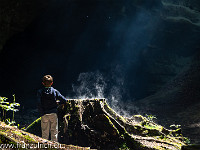 Geheimnisvolle Stimmung. : Baumstrunk, Höhle, Liebeggerwald, Sandsteinhöhlen, Verdunstung