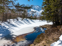 Der lange Abstieg nach Guttannen führt uns zurück in den Frühling. Fazit der Tour: Eine tolle Unternehmung, doch ab und zu hätte ich die Schneeschuhe gerne gegen Tourenski eingetauscht. Wer weiss, vielleicht sattle ich eines Tages doch noch um... : Schneeschuhtour, Winter