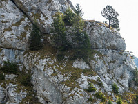 Zu diesem Bänkli geht es hoch. : Pilatus Tomlishorn Südgrat