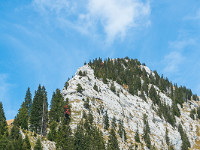 Der Südgrat ist in mehrere kurze Aufschwünge gegliedert, mit leider nur ebenso kurzen Kletterpassagen im unteren 3. Grad. Ansonsten Gehgelände, und im oberen Teil geht es über eine Grasplangge zum Gipfel. : Pilatus Tomlishorn Südgrat