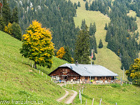 Alp Langenmatt im Herbstkleid. : Pilatus Tomlishorn Südgrat